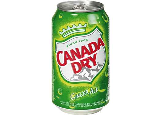 Canada Dry 4 x 6 x 33 cl