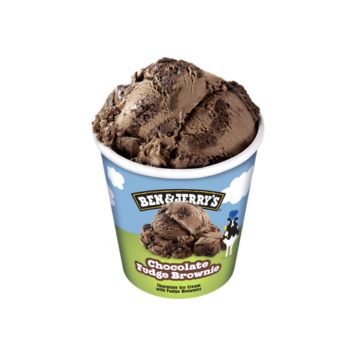 [9048] Chocolate Fudge Brownie 8 x 500 ml